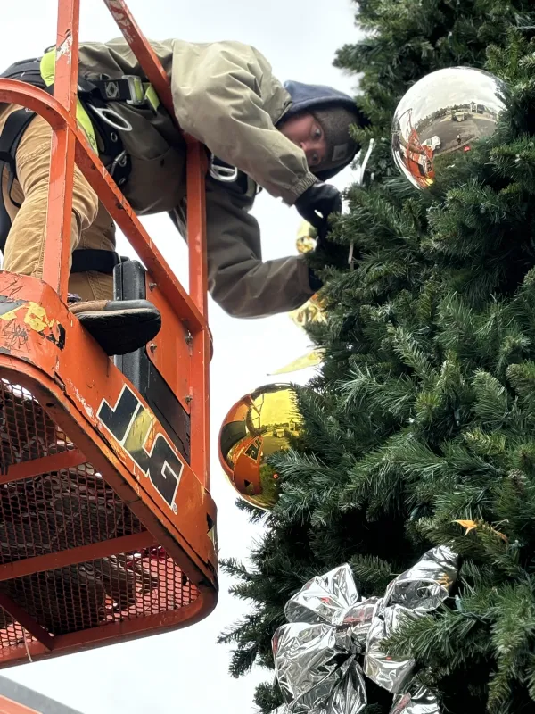 tree.jpg