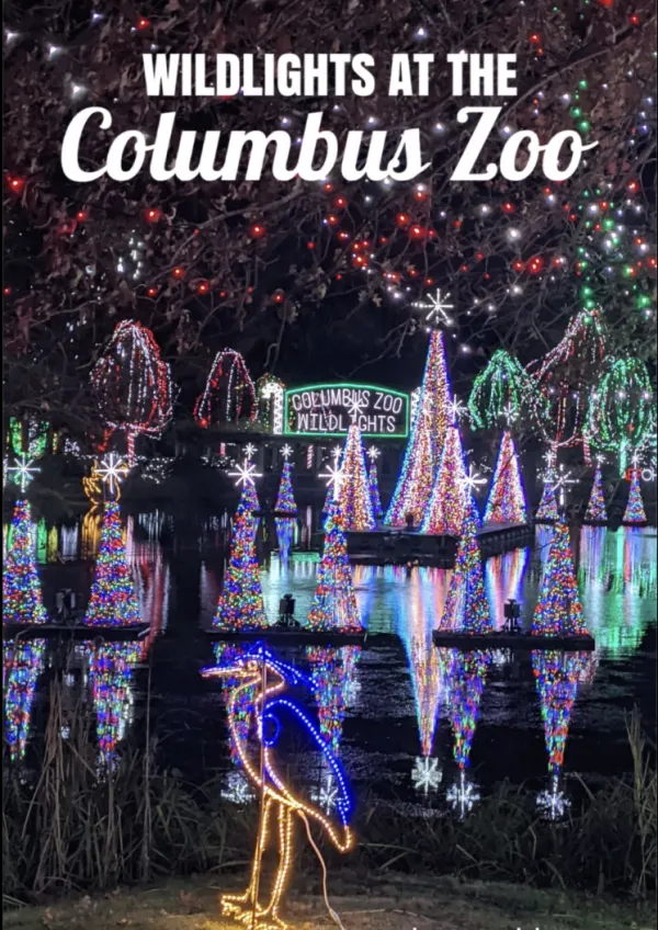 zoo_lights.png